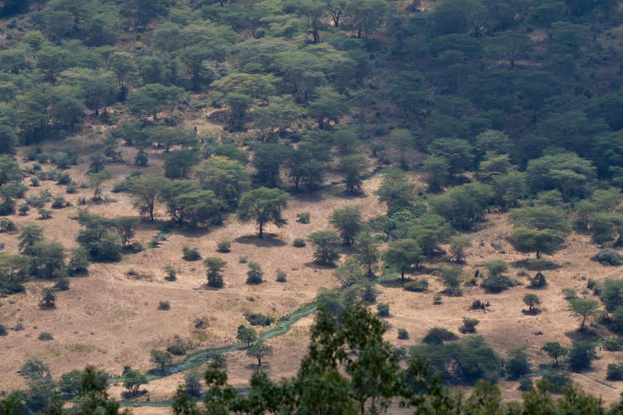 Ngorongoro Lodge Member Of Melia Collection - The Leading Hotels Of The World Luaran gambar