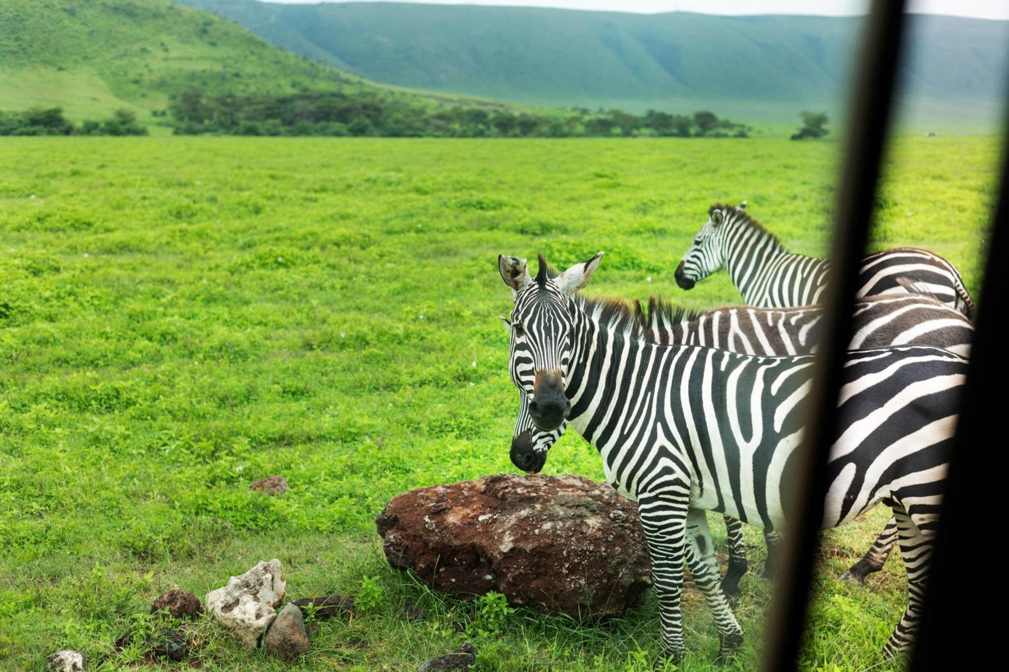 Ngorongoro Lodge Member Of Melia Collection - The Leading Hotels Of The World Luaran gambar