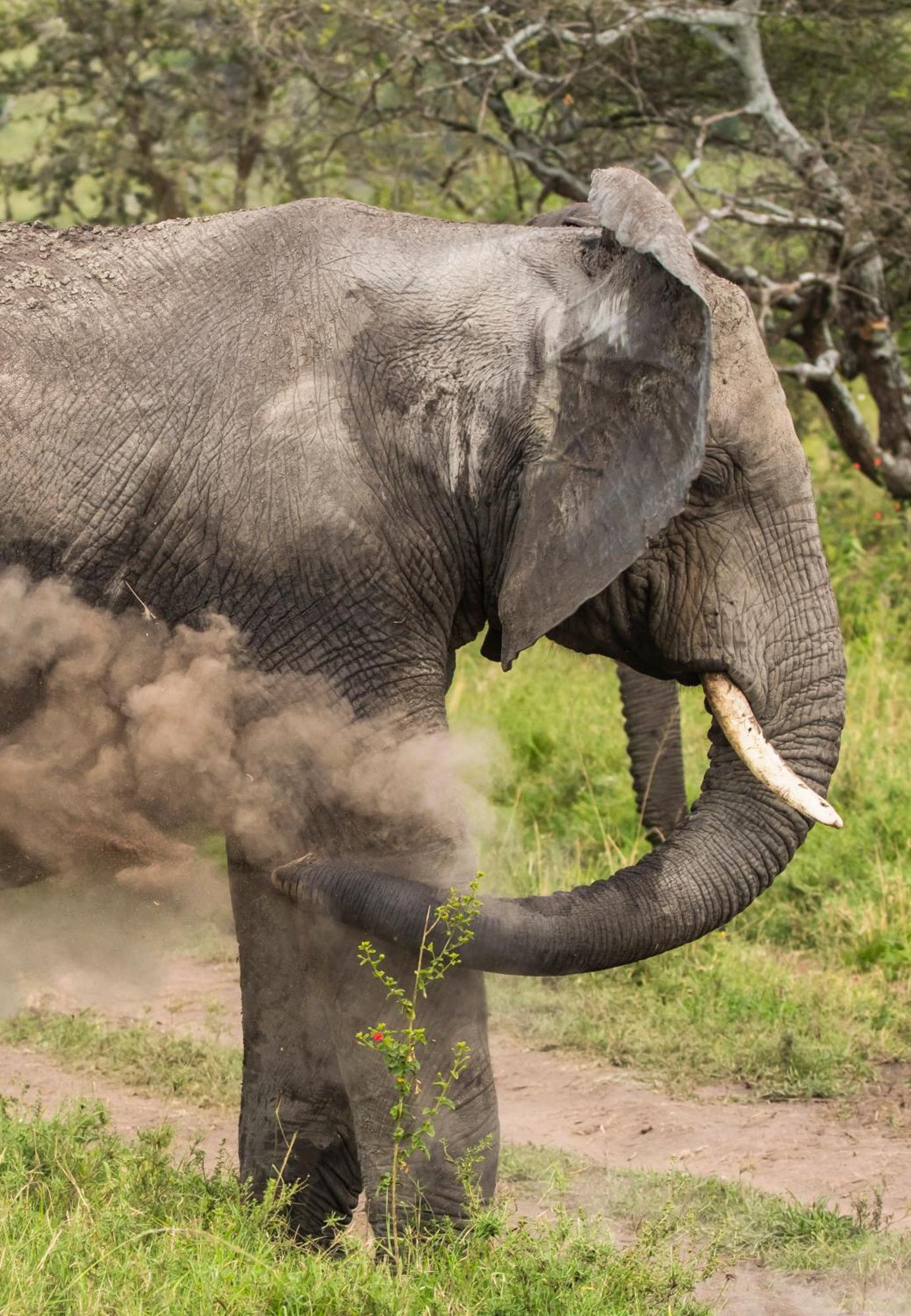 Ngorongoro Lodge Member Of Melia Collection - The Leading Hotels Of The World Luaran gambar